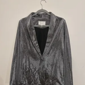 Srebrni blejzer - Vila