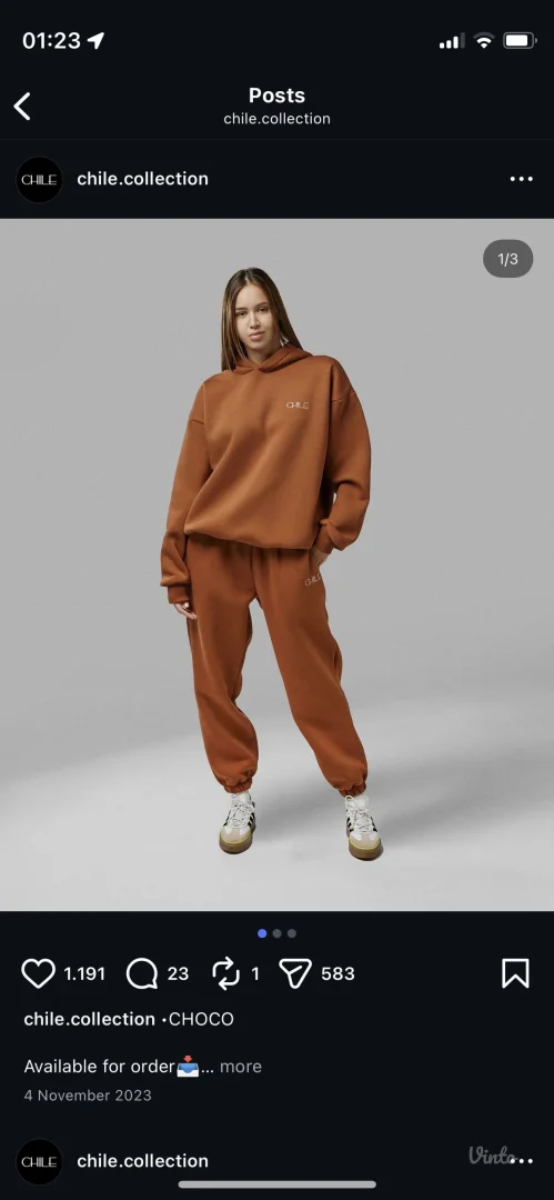 Chile trenerka braon M