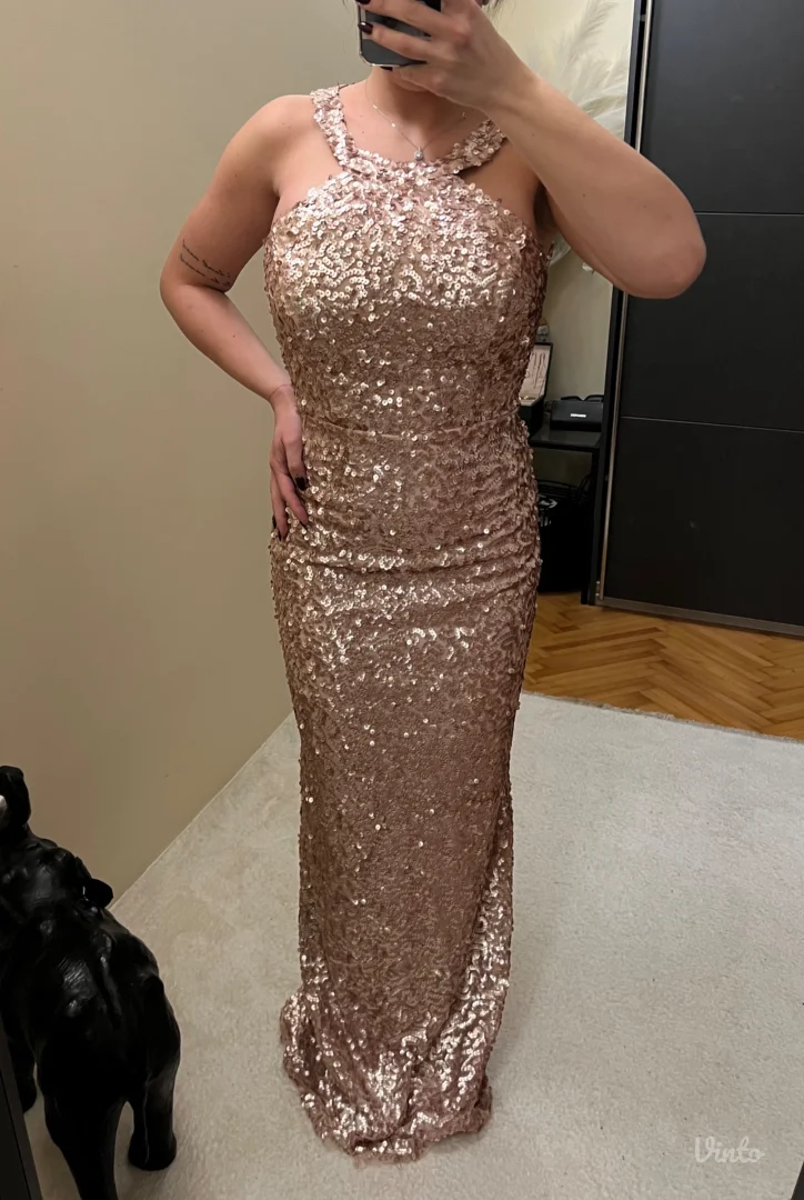 HALJINA SA ŠLJOKICAMA