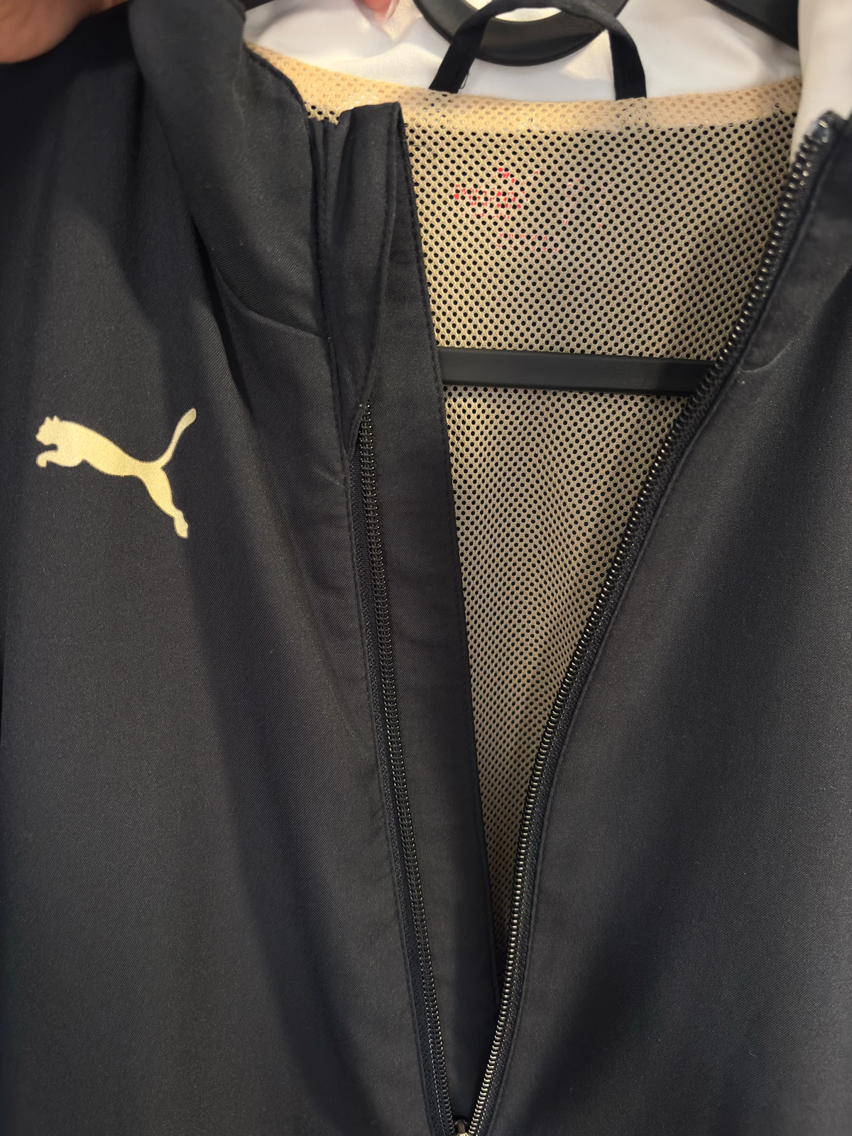 Puma suskavac (M)