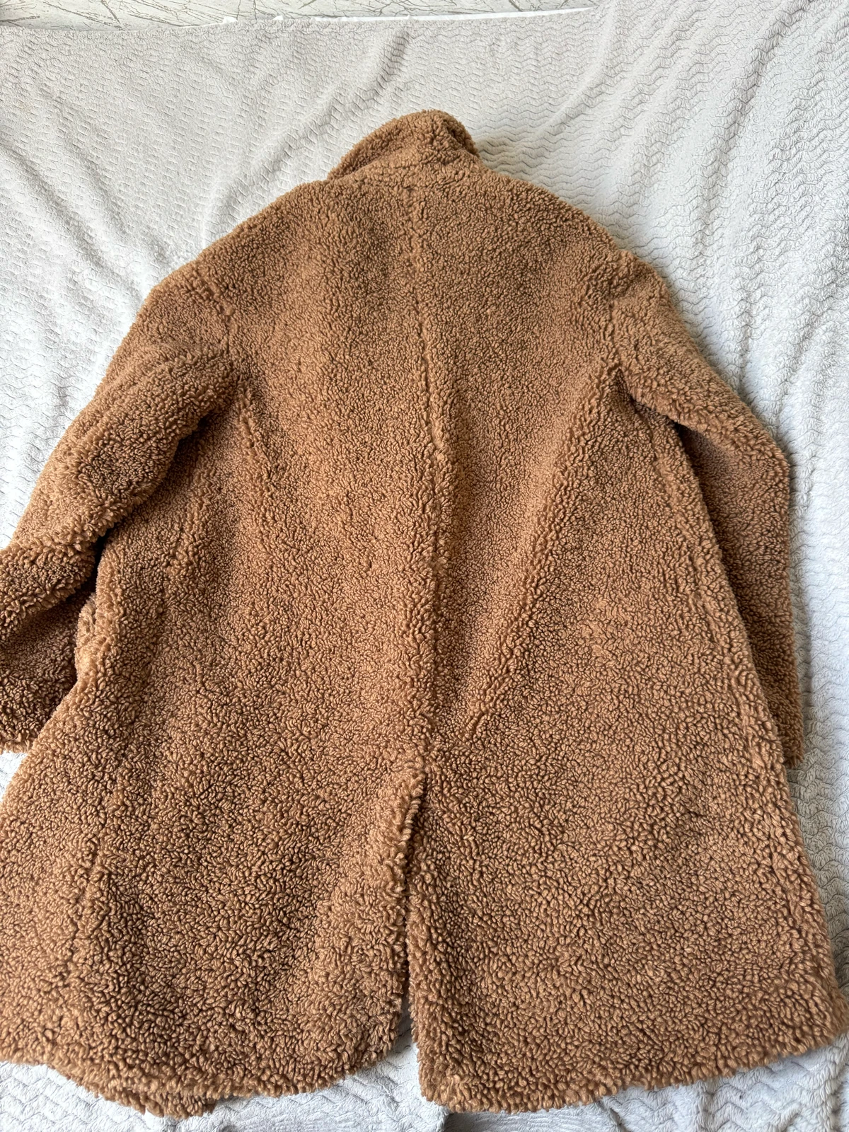 Teddy kaputic
